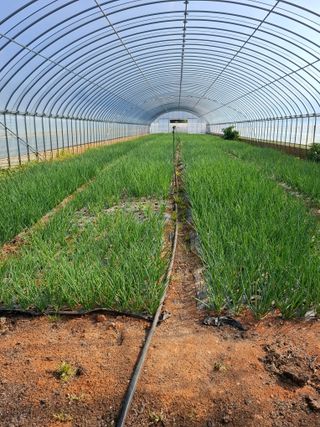 결단이님의 작성글 사진