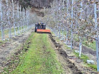 이흥식(청아농원)님의 사과 · 영농일지 작성글 사진