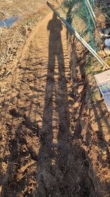 팜모닝 두릅·영농일지 게시글 이미지