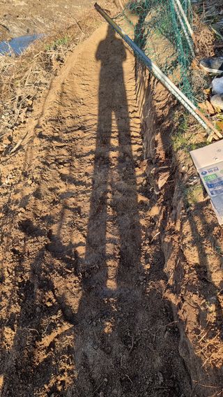 권혁렬님의 두릅 · 영농일지 작성글 사진