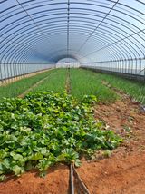 결단이님의 작성글 사진