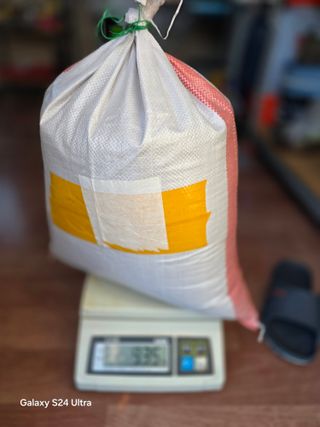 심기정님의 들깨 · 영농일지 작성글 사진