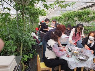 고흥백향과농장님의 기타작물 · 영농일지 작성글 사진