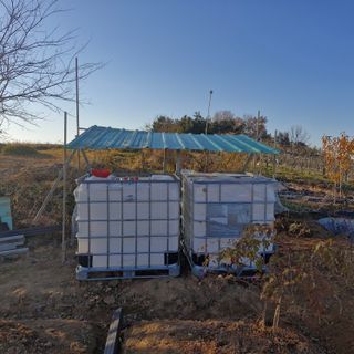 김영준님의 기타작물 · 영농일지 작성글 사진