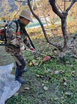 팜모닝 기타작물·영농일지 게시글 이미지