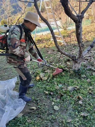 향양농장 사랑합니다님의 기타작물 · 영농일지 작성글 사진