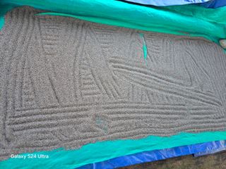 심기정님의 들깨 · 영농일지 작성글 사진