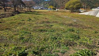 MJ님의 기타작물 · 영농일지 작성글 사진