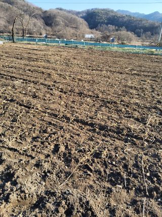 김성열님의 기타작물 · 영농일지 작성글 사진