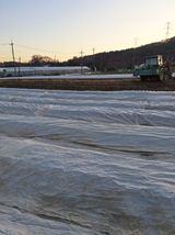 팜모닝 기타작물·영농일지 게시글 이미지