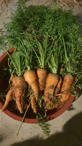 윤정님의 작성글 사진