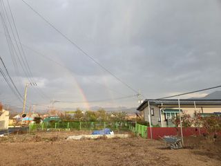 이만근님의 블루베리 · 영농일지 작성글 사진