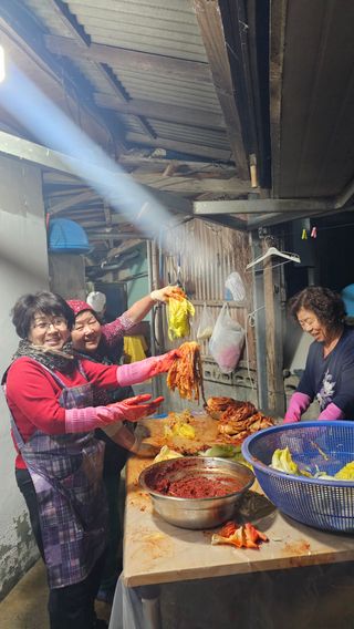 김병기님의 기타작물 · 영농일지 작성글 사진