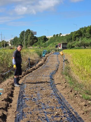 NEO 투스타팀 : 김 진여님의 벼 · 영농일지 작성글 사진