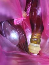 팜모닝 들깨·영농일지 게시글 이미지