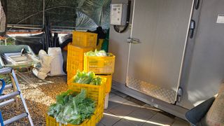 가야산아래촌농님의 기타작물 · 영농일지 작성글 사진