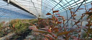 고추22286님의 기타작물 · 영농일지 작성글 사진