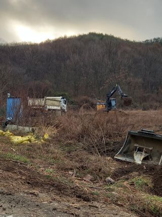 감자9431님의 기타작물 · 영농일지 작성글 사진