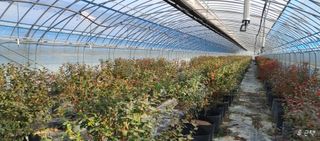 고추22286님의 기타작물 · 영농일지 작성글 사진