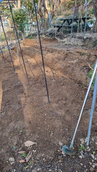 권혁렬님의 기타작물 · 영농일지 작성글 사진