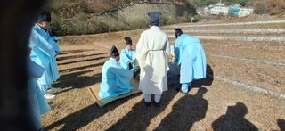 박수천님의 기타작물 · 영농일지 작성글 사진