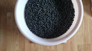 김지철님의 기타작물 · 영농일지 작성글 사진