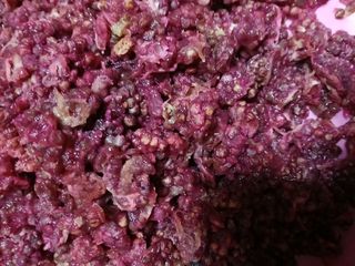 인생은 소풍처럼님의 기타작물 · 영농일지 작성글 사진