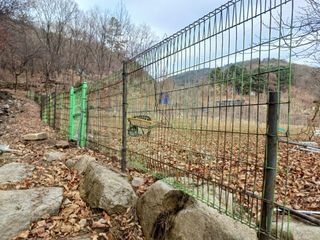 양동사랑 님의 사과 · 영농일지 작성글 사진