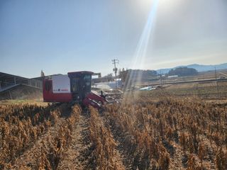 황미순님의 콩 · 영농일지 작성글 사진