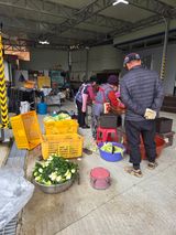 팜모닝 배추·영농일지 게시글 이미지