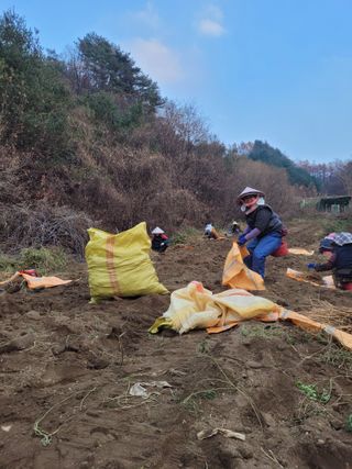 이름유순옥님의 기타작물 · 영농일지 작성글 사진