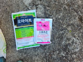 새달귤농장님의 작성글 사진