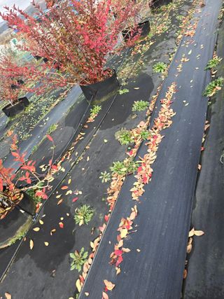 김유숙님의 기타작물 · 영농일지 작성글 사진