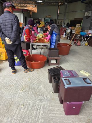 백현호님의 배추 · 영농일지 작성글 사진