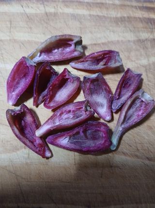 인생은 소풍처럼님의 기타작물 · 영농일지 작성글 사진