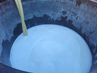 새달귤농장님의 귤 · 영농일지 작성글 사진