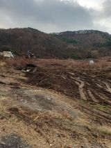 팜모닝 기타작물·영농일지 게시글 이미지