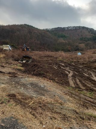 감자9431님의 기타작물 · 영농일지 작성글 사진