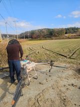 팜모닝 기타작물·영농일지 게시글 이미지