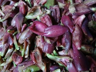 인생은 소풍처럼님의 기타작물 · 영농일지 작성글 사진