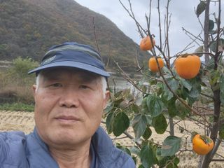 옥수수14683님의 기타작물 · 영농일지 작성글 사진