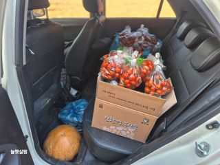 늘햇살팜 님의 기타작물 · 영농일지 작성글 사진