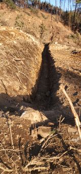 팜모닝 기타작물·영농일지 게시글 이미지