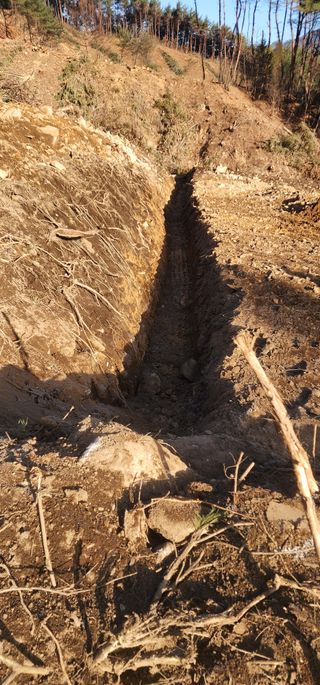 김제일님의 기타작물 · 영농일지 작성글 사진