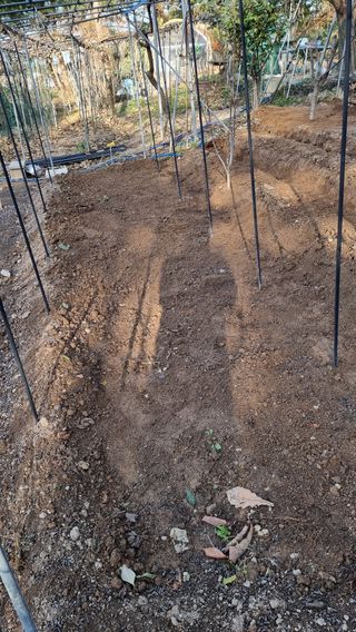 권혁렬님의 기타작물 · 영농일지 작성글 사진