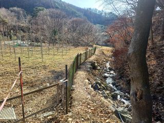 양동사랑 님의 사과 · 영농일지 작성글 사진