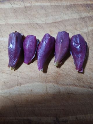 인생은 소풍처럼님의 기타작물 · 영농일지 작성글 사진