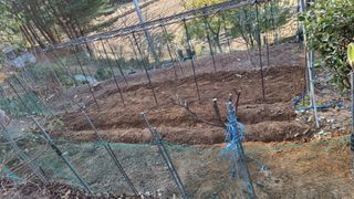 권혁렬님의 기타작물 · 영농일지 작성글 사진