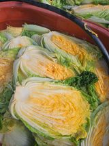 팜모닝 배추·영농일지 게시글 이미지