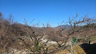 정성영님의 기타작물 · 영농일지 작성글 사진